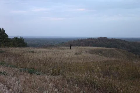 Distant silhouette of a man in delight 库存照片