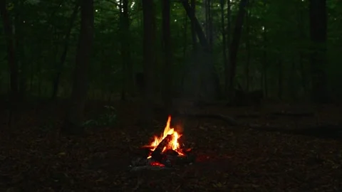 Distant small campfire burning with warm flame in dark deep forest wood Stock Footage 345716362
