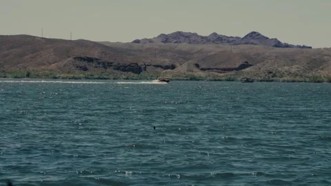 A distant speed boat roars away as a bird takes flight from the desert lake Stock Footage 241498801