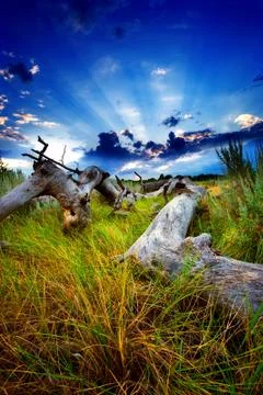 Distant storm Stock Photos