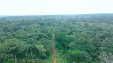 Distant top-down view of pickup on forest road, Congo Stock Footage 331999456