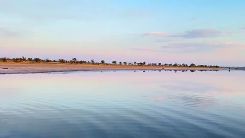 Distant Tree Line Reflected In Calm Evening Lake Stock Footage 341755942