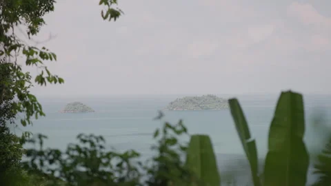 Distant Tropical Islands and Ocean View Through Green Leaves Stock Footage 337533367