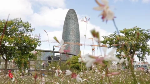 A distant view of the agbar tower, from the clot neighborhood garden Stock Footage 133115011