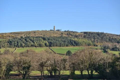 Distant view of Ballycorus lead mining and smelting chimney tower and old trees Stock Photos