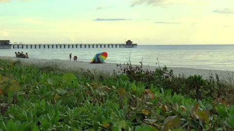 Distant View of Beach and Pier in Naples Florida Stock Footage 88910383