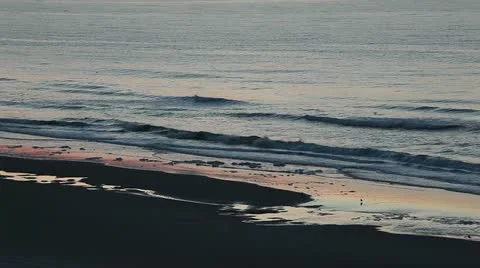 Distant view of birds along sea shore at daybreak Stock Footage 11016906