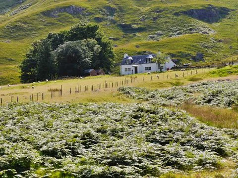 Distant view of Black Rock cottage, Glencoe, Scottish Highlands Stock Photos