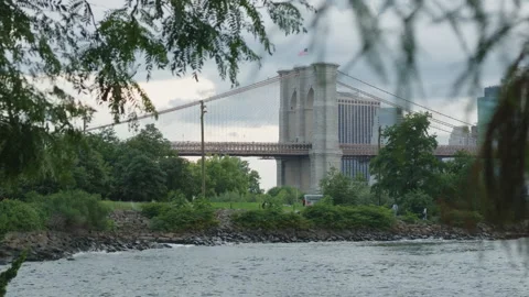 Distant view of Brooklyn Bridge framed by fluttering leaves Stock Footage 340862964