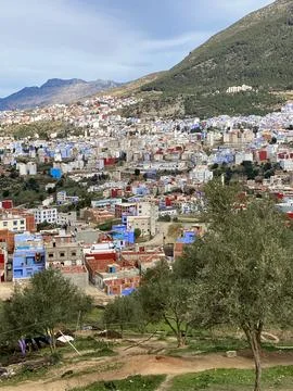 Distant view of Chefchaouen with olive trees in foreground Stock Photos