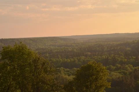 Distant view of the forest during sunset Foto stock
