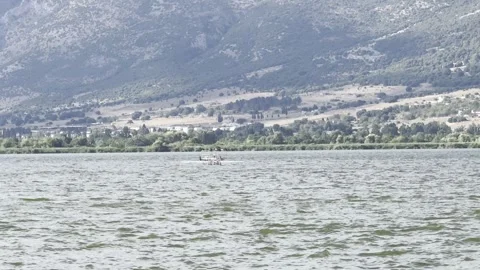 Distant view of four rowers in a single rowing boat on Lake Pamvotida in Vídeo Stock 345369670