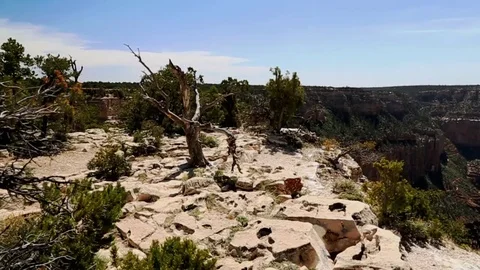 Distant view of the Grand Canyon Stock Footage 105153618