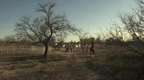 Distant View of Horses in a Corral 2 Stock-Footage 19311852