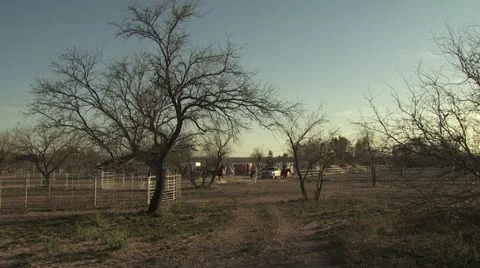 Distant View of Horses in a Corral Video stock 19309659