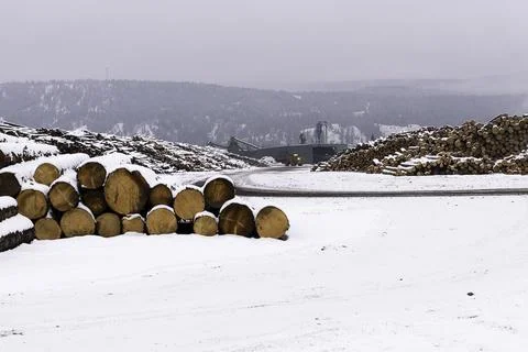 Distant View of Logs and a Sawmill at Radium Stock Photos