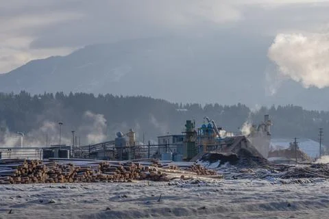 Distant View of a Lumber Mill in Winter Stock Photos