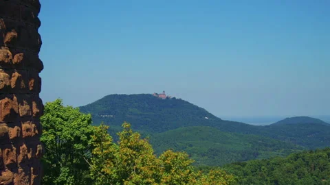 Distant view of medieval castle ruins on hilltop above forest near Ribeauville Stock Footage 327569362