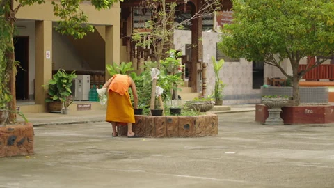 Distant view of a monk in an orange robe touching a flower pot Stock Footage 264762115