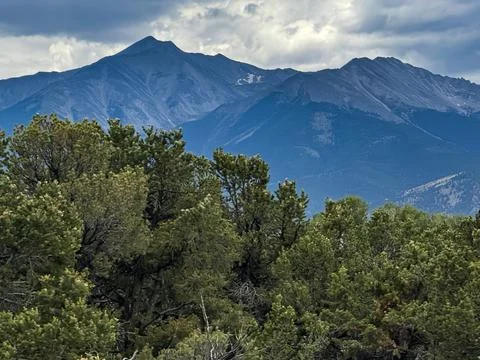 Distant View of Mount Sopris Rising Behind Forest Trees in Colorado Stock Photos