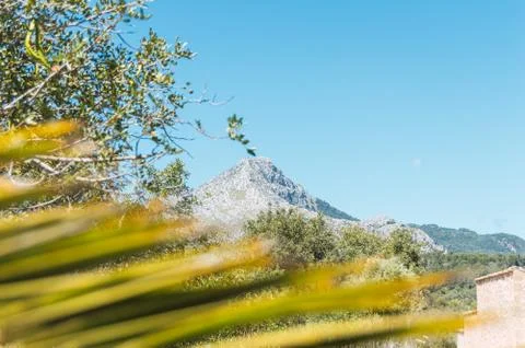 Distant view of a mountain Stock Photos