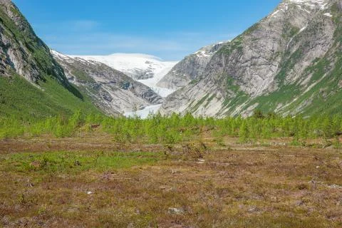 Distant view of the Nigardsbreen Stock Photos