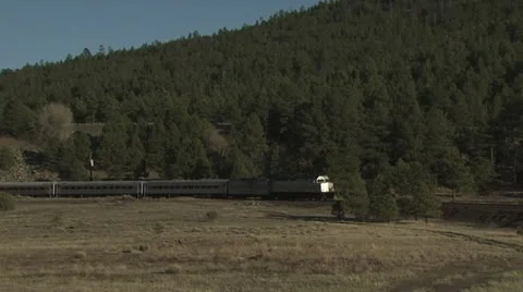 Distant View of Oncoming Passenger Train Video stock 18977577