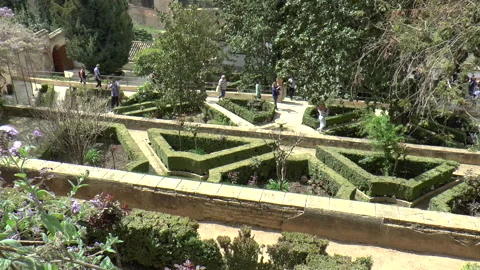 Distant View of Sculpted Hedges at Generalife Gardens in Alhambra 動画素材 237823571