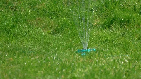 Distant view sprinkler activating and releasing narrow water stream across lawn Video stock 335144154