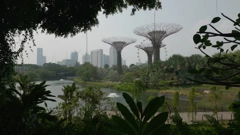 Distant View Of Supertrees And Marina Bay Sands In Singapore Stock Footage 348758821