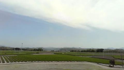 Distant View of Tea Fields in Wadaoka, Kakegawa, Shizuoka, Japan Stock Footage 335354725