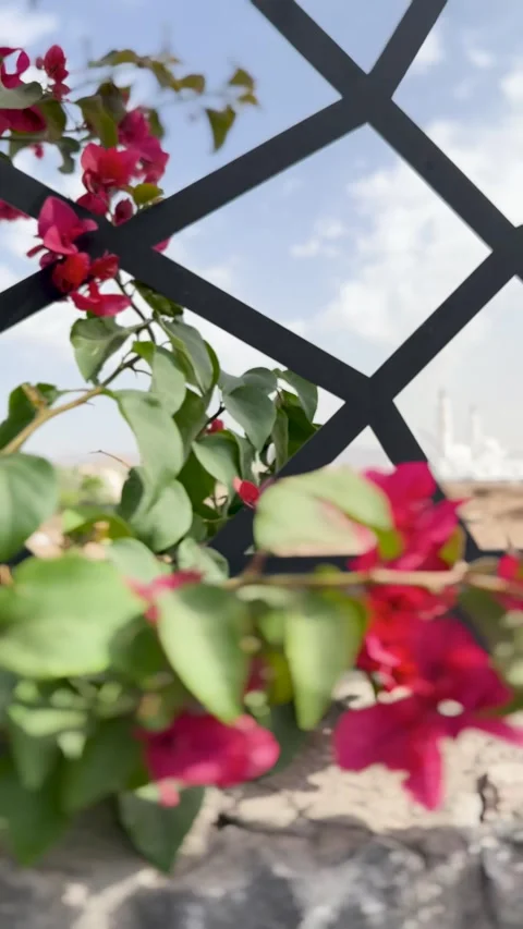 Distant View of White Mosque from Masjid Bani Anif Stock Footage 340299820