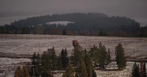 Distant View of Winter Forest and Open Fields Under Overcast Sky Stock Footage 294260994