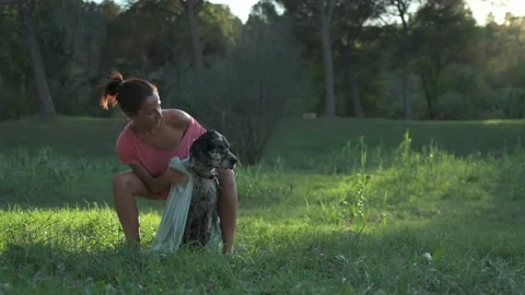 Distant view of a woman drying her dog with a towel after a bath. Pet care co Stock Footage 220478959