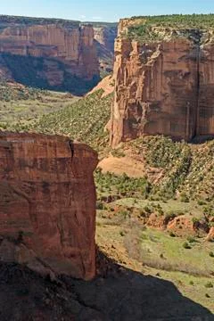 Distant Views in a Desert Canyon 库存照片