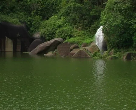 Distant Waterfall Stock Footage 118427