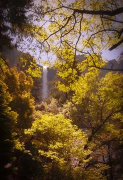 A distant Waterfall through trees in Yosemite National Park Stock Photos