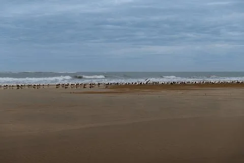 Distant waves crash on a wide, empty beach Stock Photos