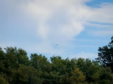 Distant white seagull flying over green landscape Stock-Fotos