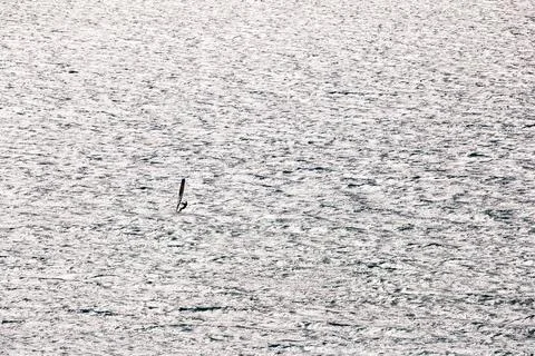 Distant Windsurfer on Silver Water Stock Photos