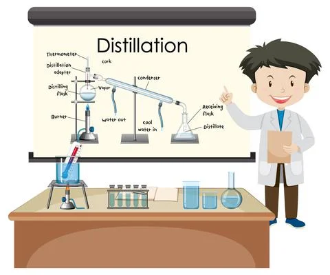 Distillation process diagram for education with scientist character Stock Illustration