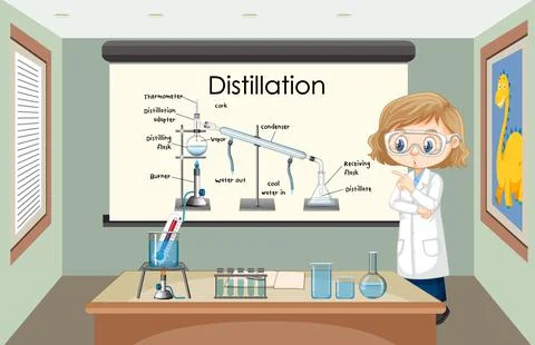 Distillation process diagram for education with scientist character Stock Illustration