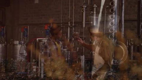 Distillery operator and distiller inspecting spirit sample near steel tanks with Stock Footage 307450910