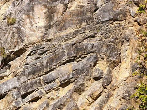 Distinct geological fold and tectonic rock strata Stock Photos