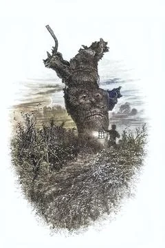 Distinctive trees, natural monument, 19th century illustration depicting the Stock Illustration