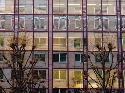 Distorted building reflection Stock Photos