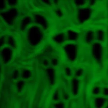 Distorted Green Ghostly Faces – Screaming Specter Texture Stock-Illustration