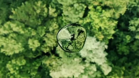 Distorted from leaves or green algae 스톡 동영상 328979160