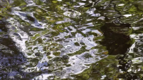 Distorted patterns in water and bubbles ... | Stock Video | Pond5