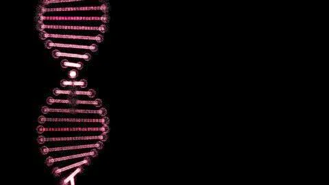 Distorted pink dna replica on a black background. イラスト素材